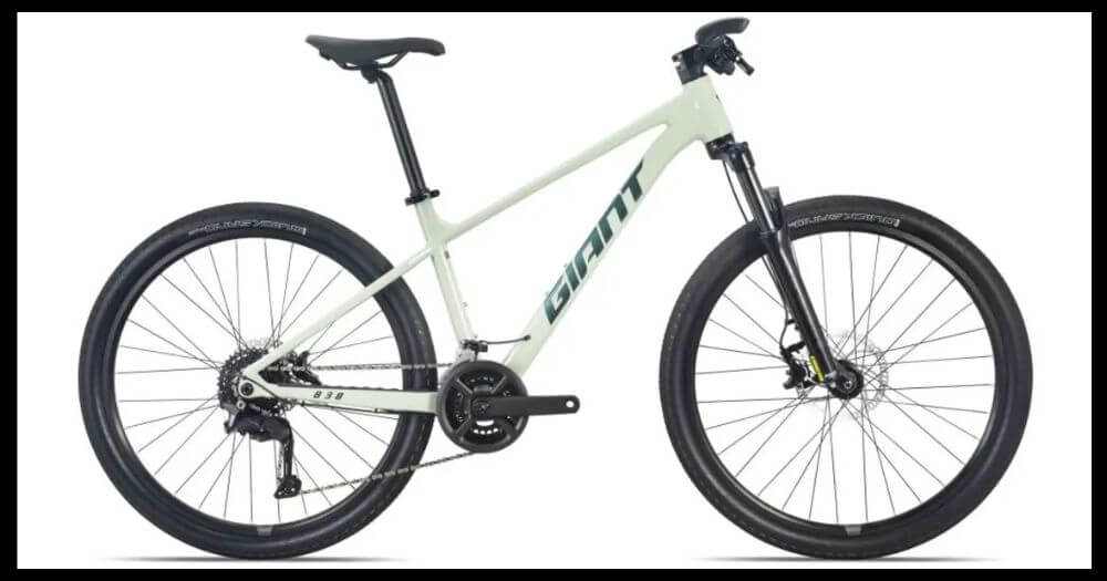 捷安特-單車-腳踏車-失竊-被偷-報警-報案-找回-美國-西雅圖-大學